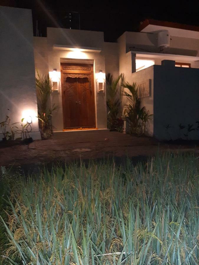 The Satya Villa Ubud Extérieur photo