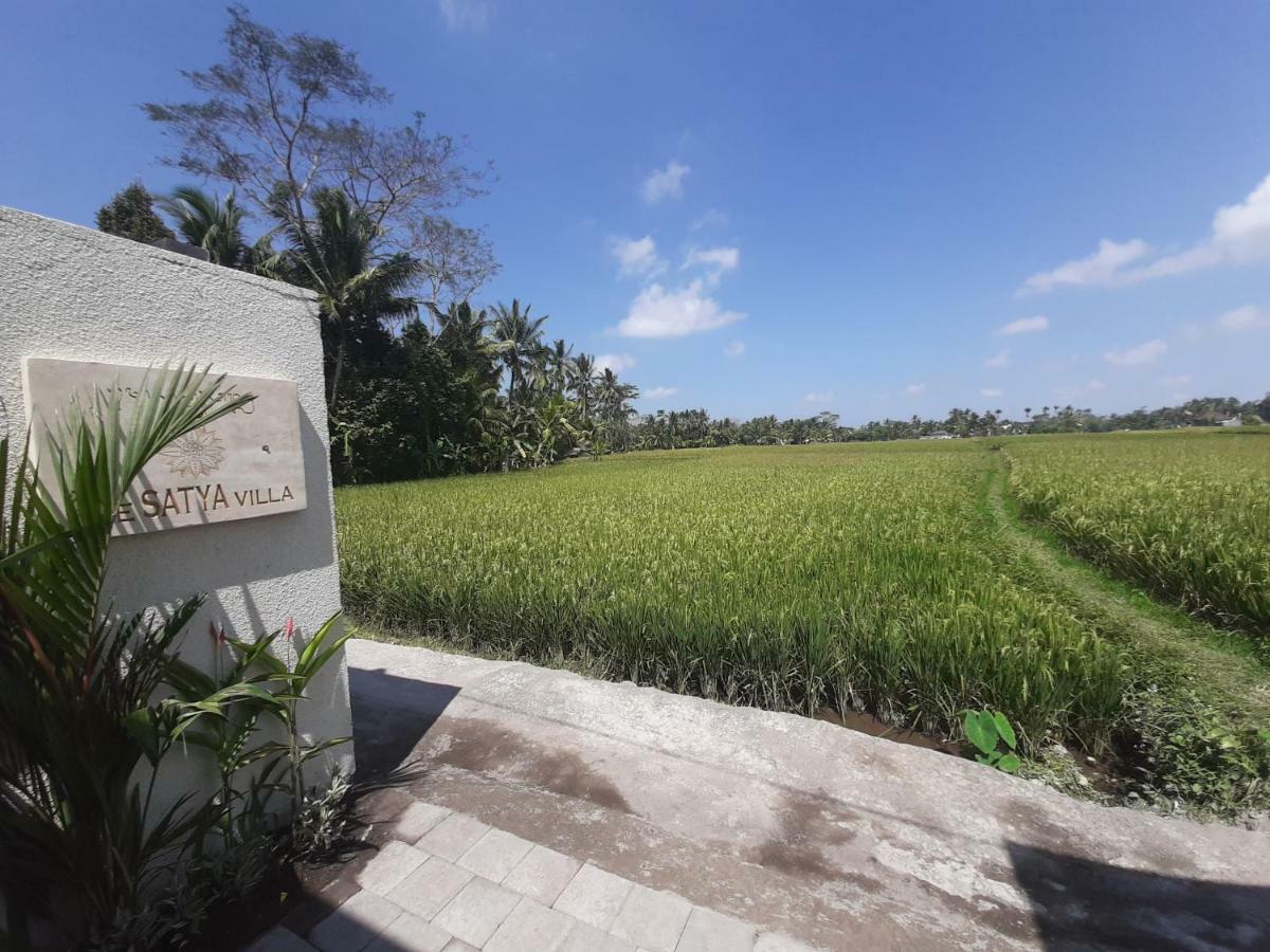 The Satya Villa Ubud Extérieur photo