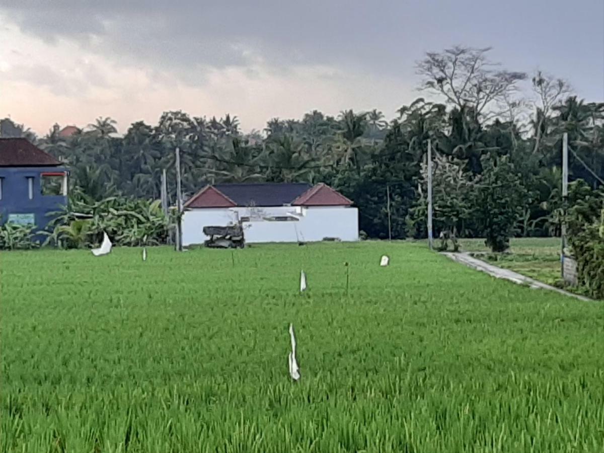 The Satya Villa Ubud Extérieur photo
